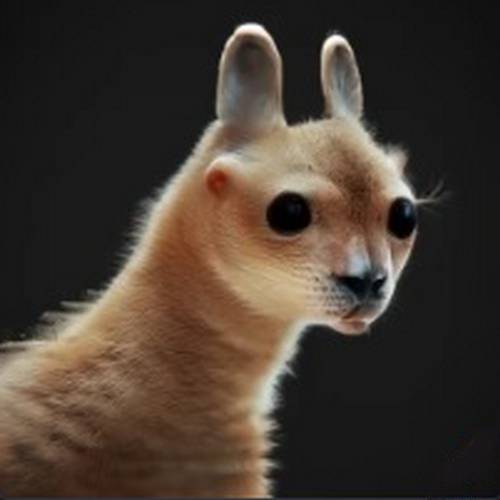 u drôle d'animal en b, bizzar et étrange